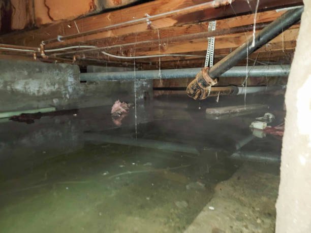 Professional Water damage restoration in Dilworthtown, PA