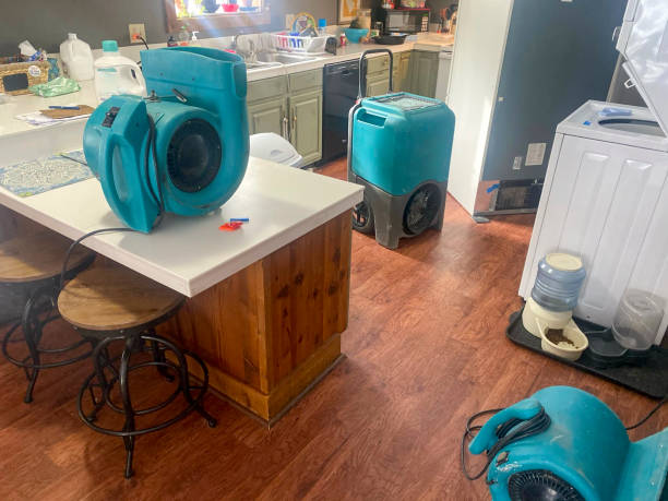 Best Water damage restoration services  in Dilworthtown, PA