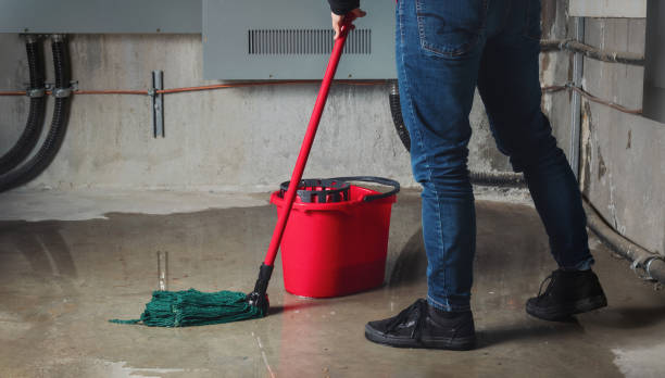 Best Fire Damage Restoration  in Dilworthtown, PA