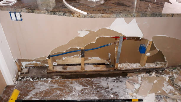 Best Professional water damage repair  in Dilworthtown, PA