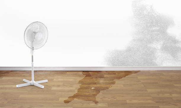 Professional Water damage restoration in Dilworthtown, PA