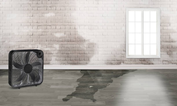  Dilworthtown, PA Water damage restoration Pros