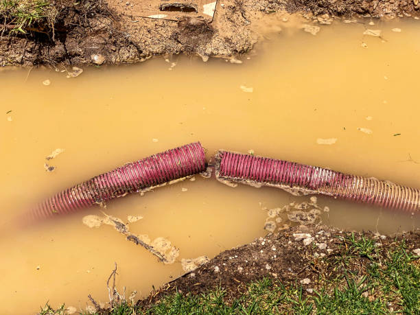 Best Water damage contractors near me  in Dilworthtown, PA