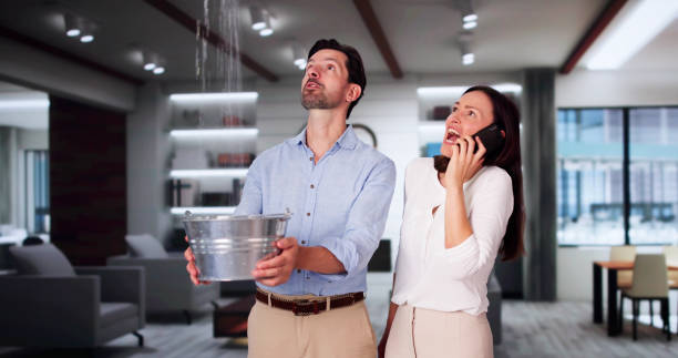 Best Carpet water damage restoration  in Dilworthtown, PA